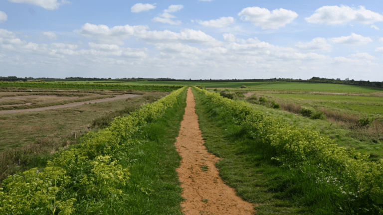 North Norfolk Broadband